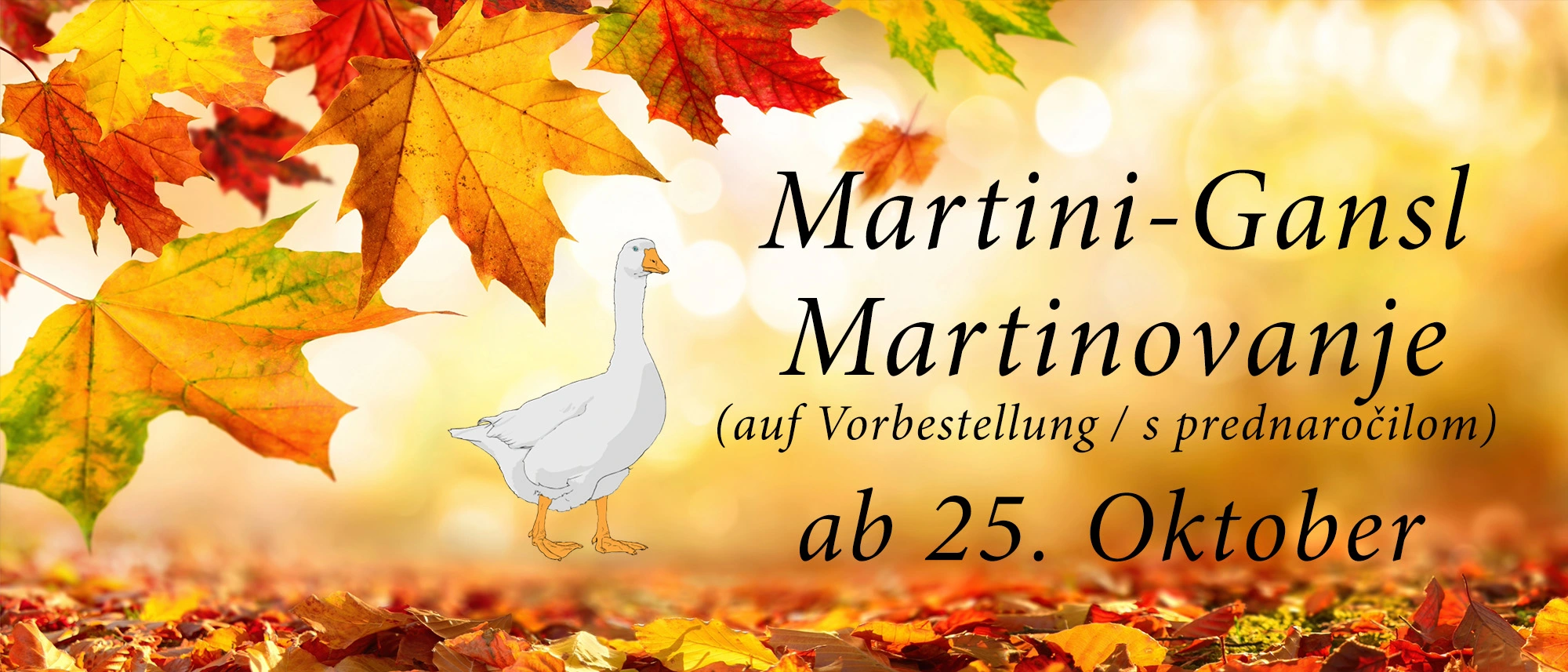 Martinigansl
